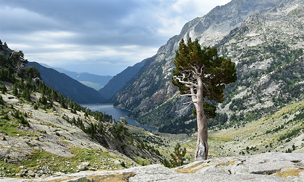 Risorse idriche e rischi climatici