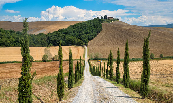 MERCOLEDì 4 SETTEMBRE